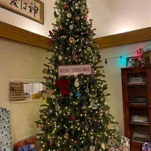 Meet your Posher, Stacey